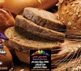 طرح توجیهی تولید نان حجیم | فنی ، اقتصادی و مالی