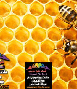 طرح توجیهی پرورش و نگهداری زنبور عسل | فنی ، اقتصادی و مالی